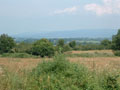 celtic park - view from the ring fort 3.jpg